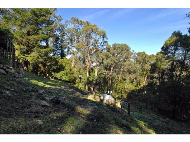 39 Terrys Avenue, Belgrave VIC 3160