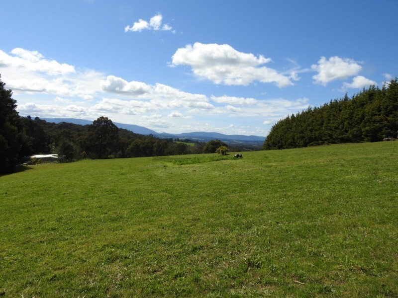 39 Little Joe View Lane, Monbulk VIC 3793