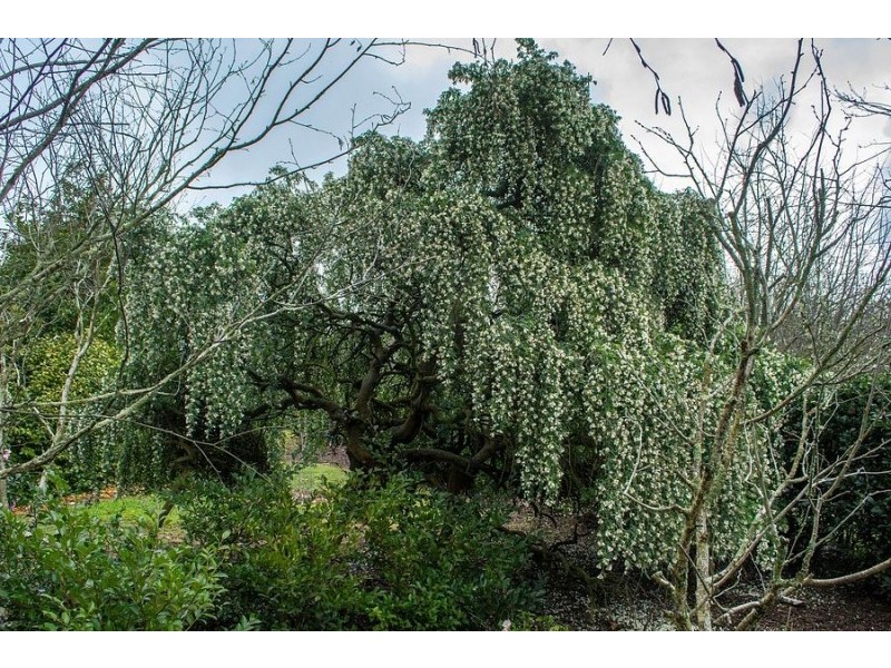 39 Little Joe View Lane, Monbulk VIC 3793