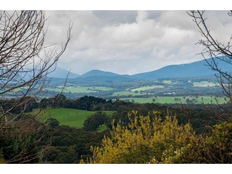 39 Little Joe View Lane, Monbulk VIC 3793