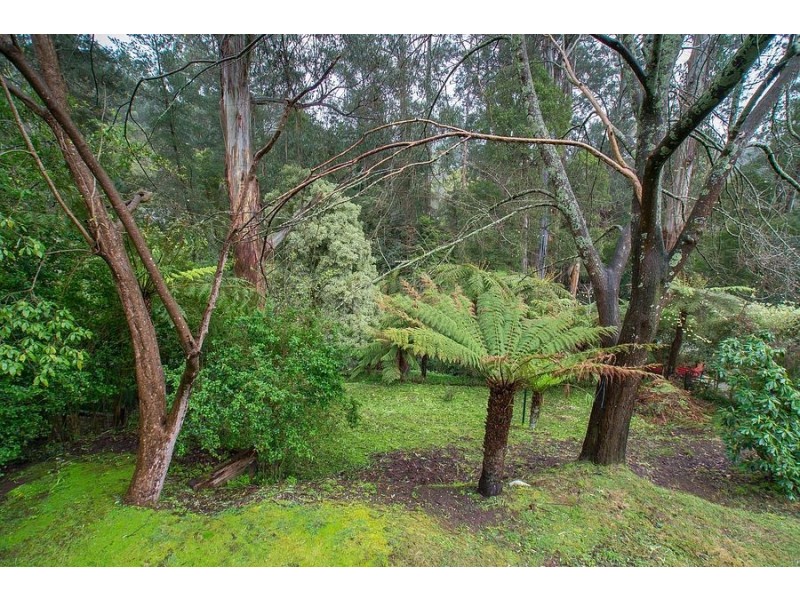 125 Monbulk Road, Kallista VIC 3791