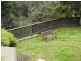 39 Belmont Avenue, Upwey VIC 3158