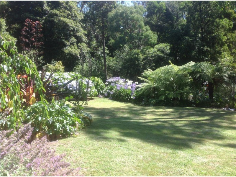 20 Aura Vale Road, Menzies Creek VIC 3159