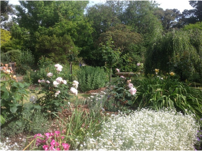 20 Aura Vale Road, Menzies Creek VIC 3159