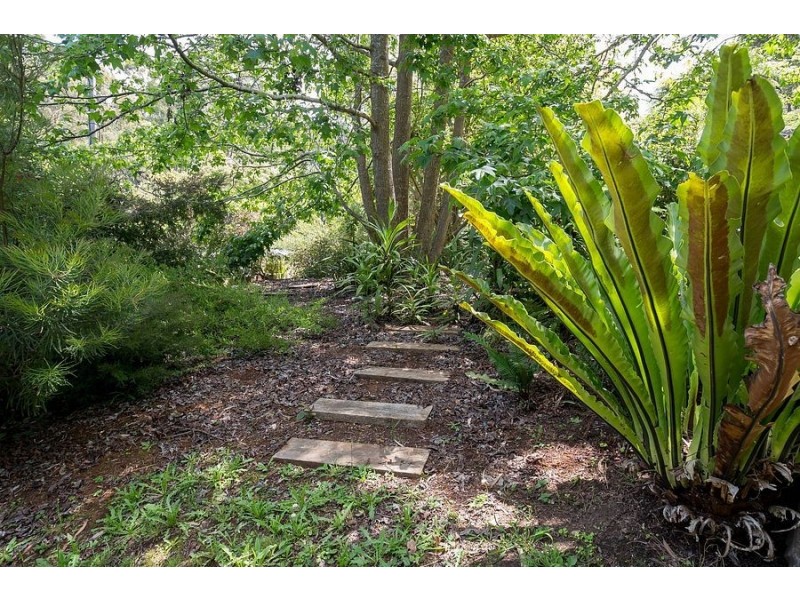 33 Hazel Grove, Tecoma VIC 3160