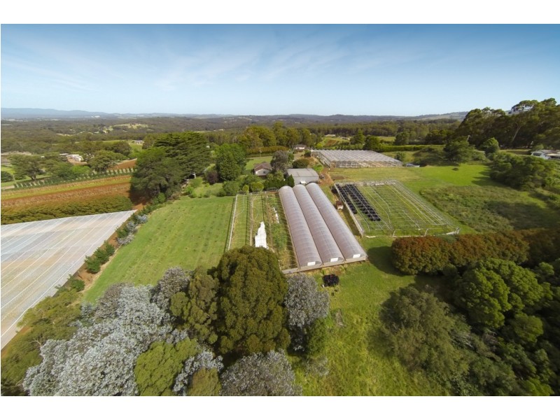 175 Macclesfield Road, Monbulk VIC 3793
