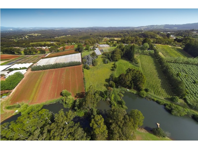 175 Macclesfield Road, Monbulk VIC 3793