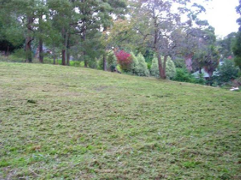 13 Wedgewood Avenue, Belgrave VIC 3160