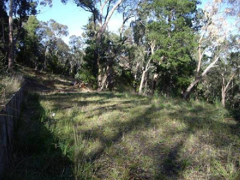 7 Cedar Grove, Selby VIC 3159