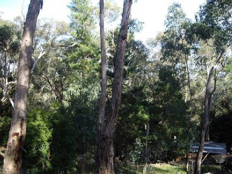 7 Cedar Grove, Selby VIC 3159