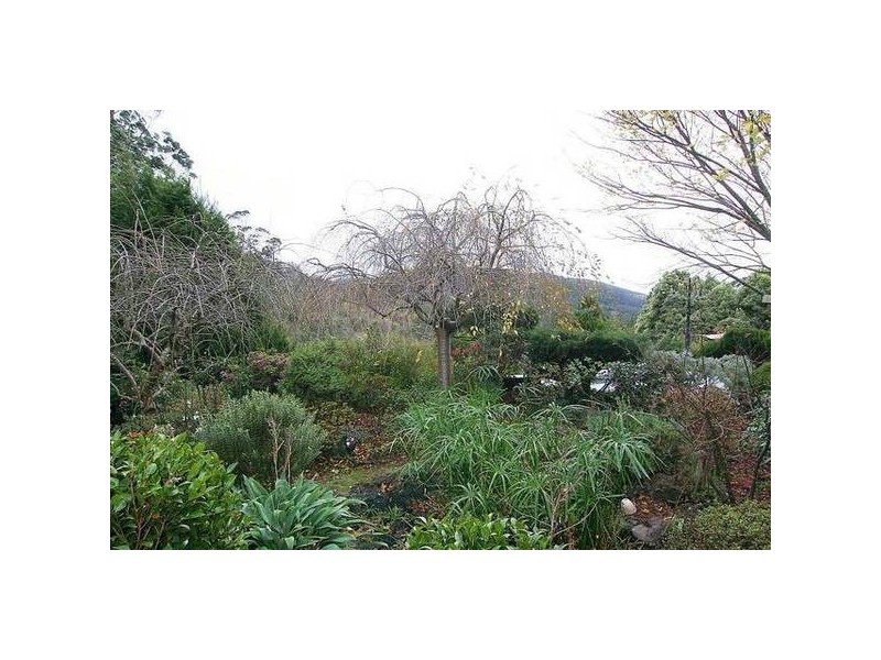 92 Kallista Emerald Road, The Patch VIC 3792