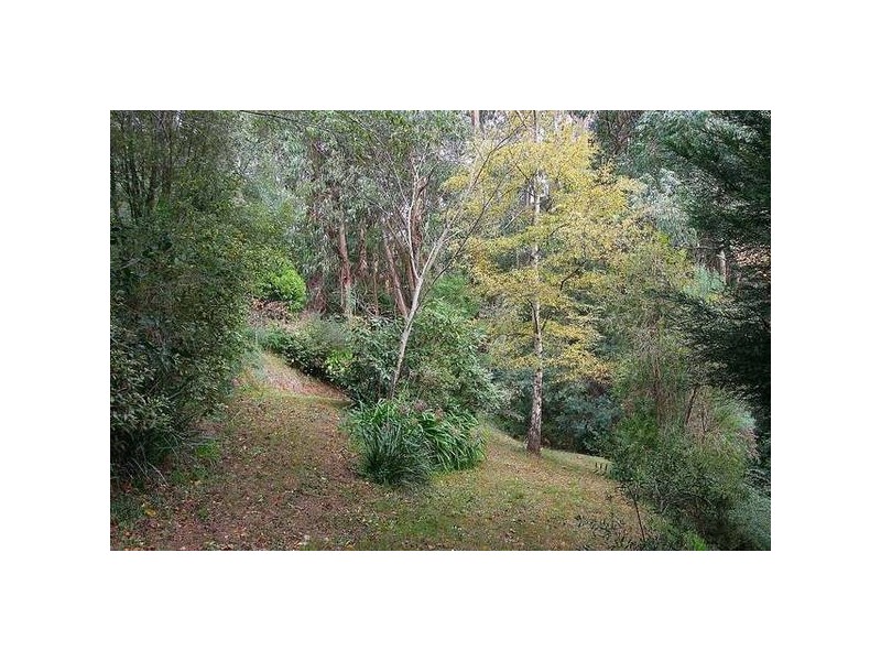 92 Kallista Emerald Road, The Patch VIC 3792