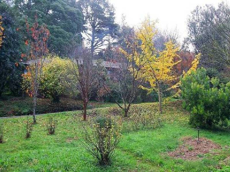 269 Monbulk Road, Monbulk VIC 3793