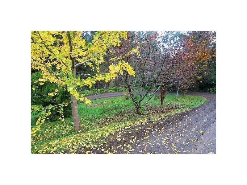 269 Monbulk Road, Monbulk VIC 3793