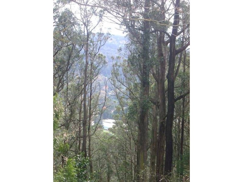 13 Ridge Road, Kallista VIC 3791