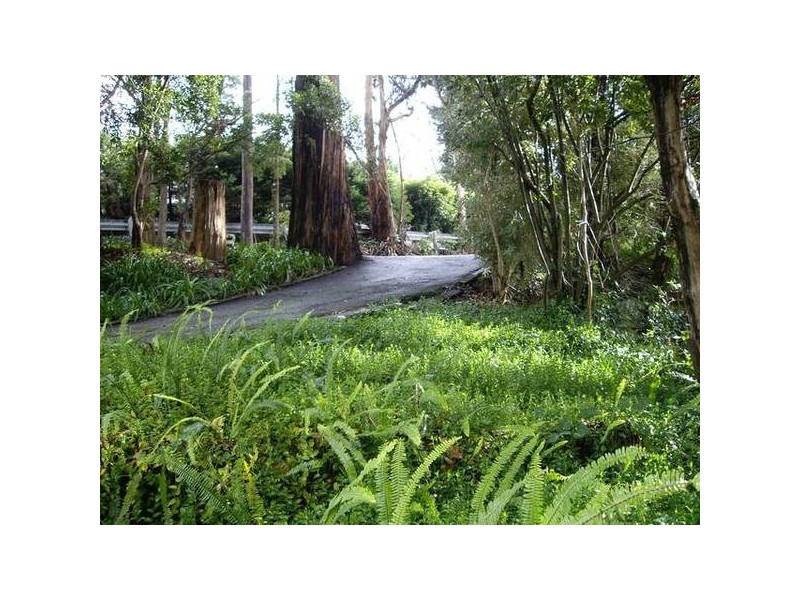 16 Belgrave Hallam Road, Belgrave VIC 3160