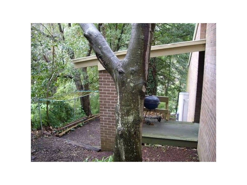 16 Belgrave Hallam Road, Belgrave VIC 3160