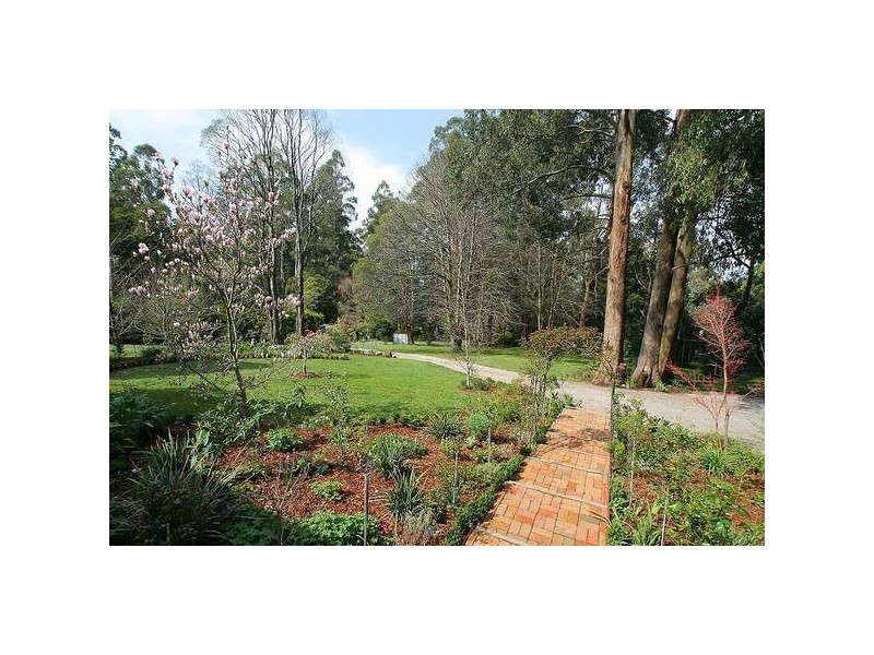 11 Mills Avenue, Sassafras VIC 3787