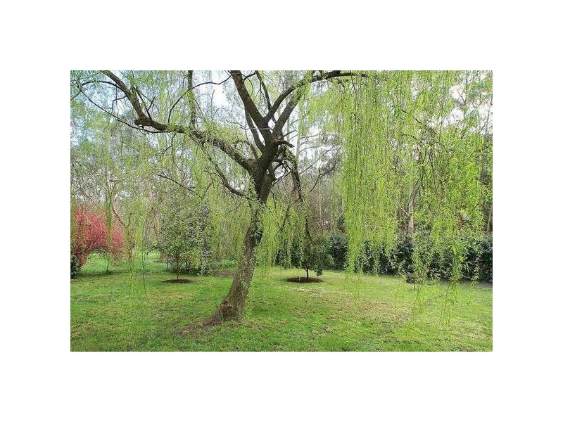 63 Belgrave Hallam Road, Belgrave VIC 3160