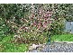 3 Pioneer Avenue, Upwey VIC 3158