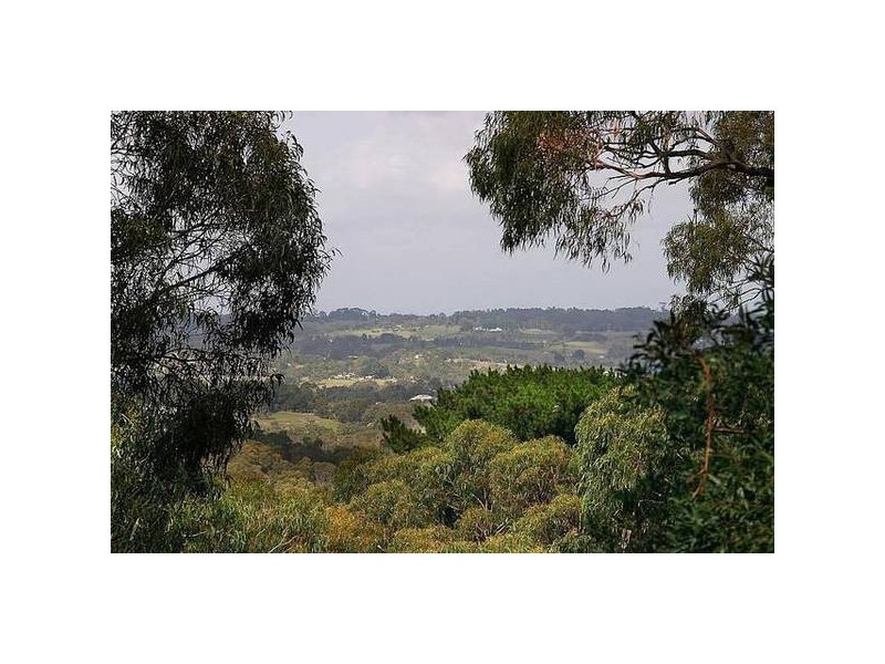 4 Eveline Road, Selby VIC 3159