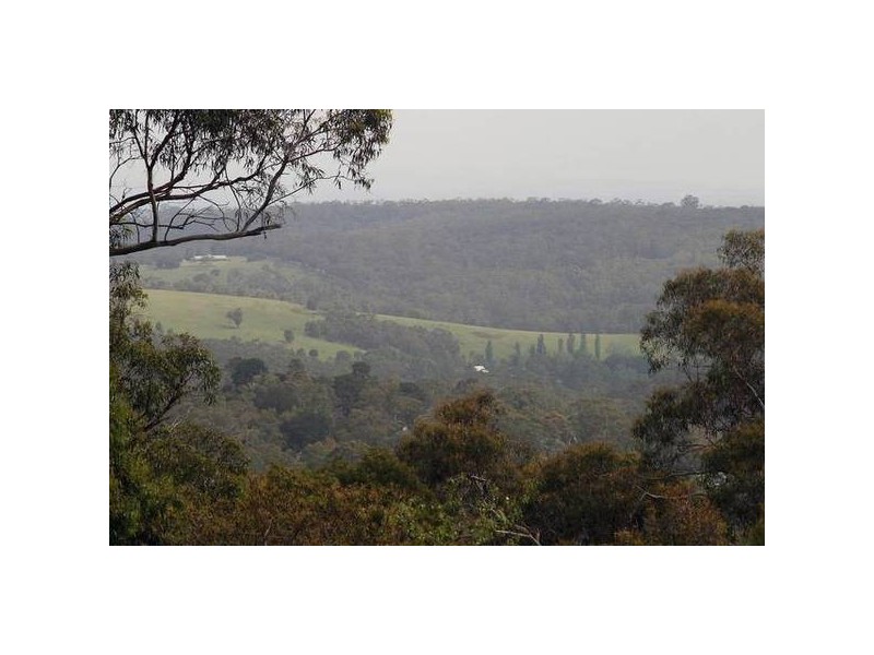 29 Terrys Avenue, Belgrave VIC 3160