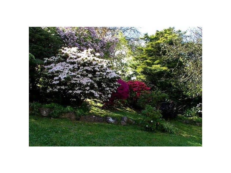 29 Terrys Avenue, Belgrave VIC 3160