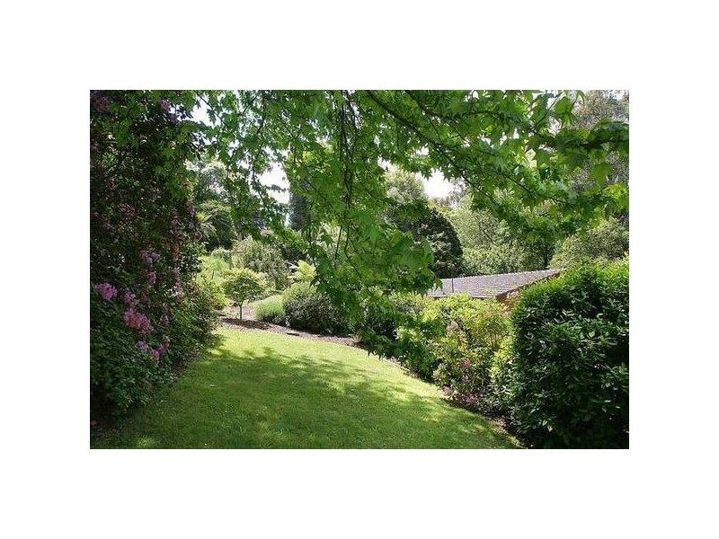 19 Hunter Street, Monbulk VIC 3793