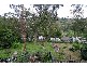 56 Kaola Street, Belgrave VIC 3160