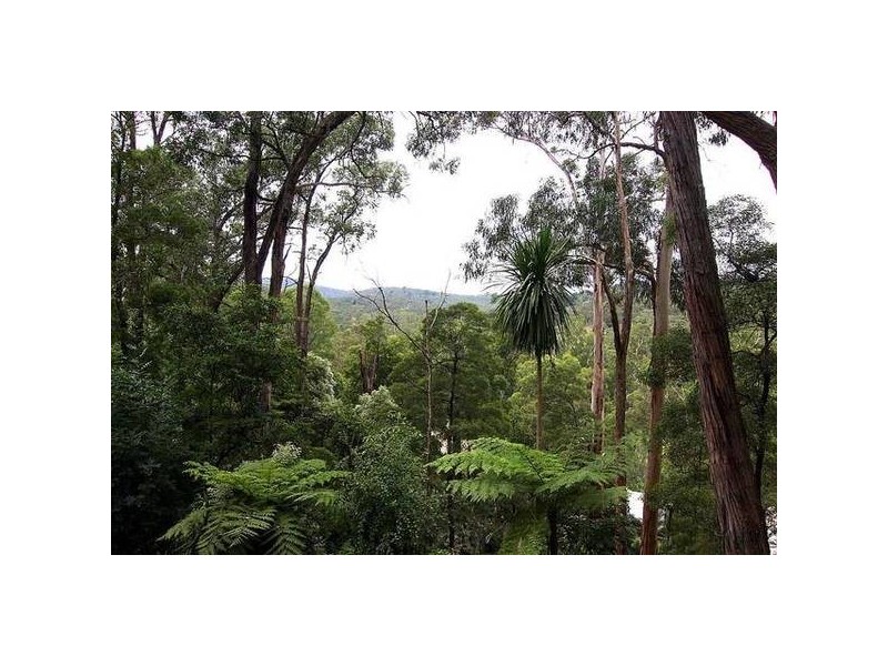 48 Centre Road, Upwey VIC 3158