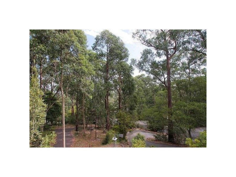 6 Kitchener Road, Tecoma VIC 3160