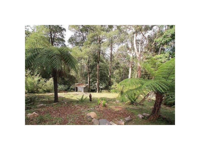 16 Bennett Avenue, Belgrave VIC 3160