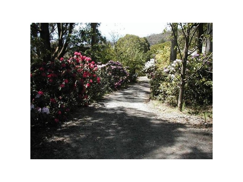 71 Grantulla Road, Kallista VIC 3791