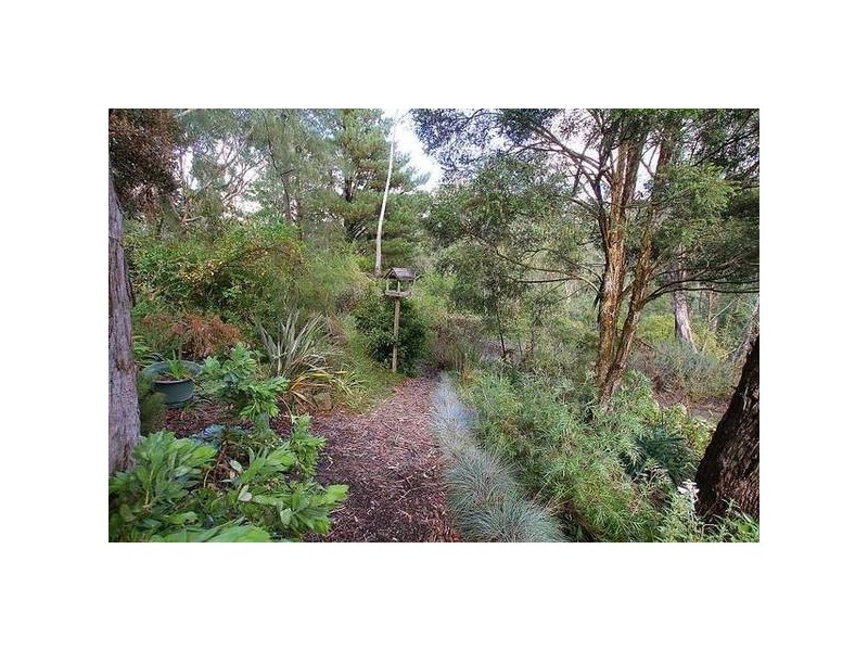 3 Kaola Street, Belgrave VIC 3160