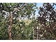 18 Earl Street, Upwey VIC 3158