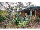49 Monbulk Road, Belgrave VIC 3160
