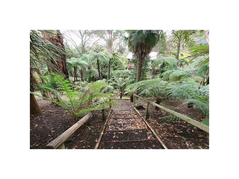 49 Monbulk Road, Belgrave VIC 3160