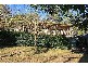 4 Rose Street, Tecoma VIC 3160