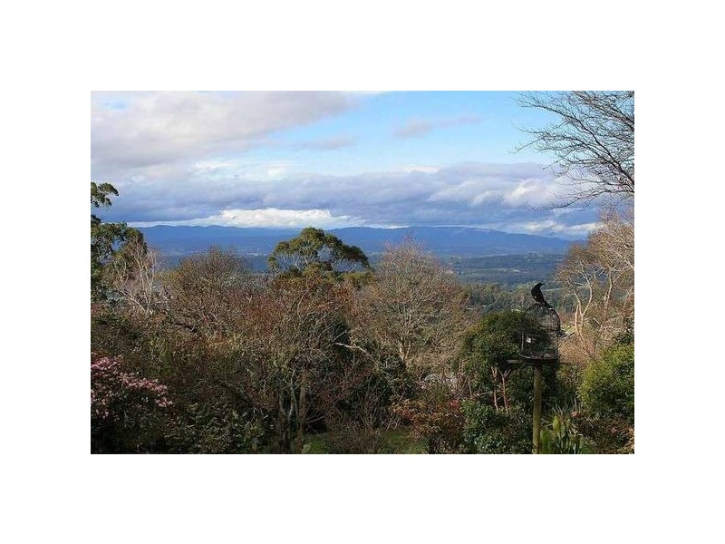 5 Locarno Avenue (Enter via Regnans Rd laneway), Kallista VIC 3791