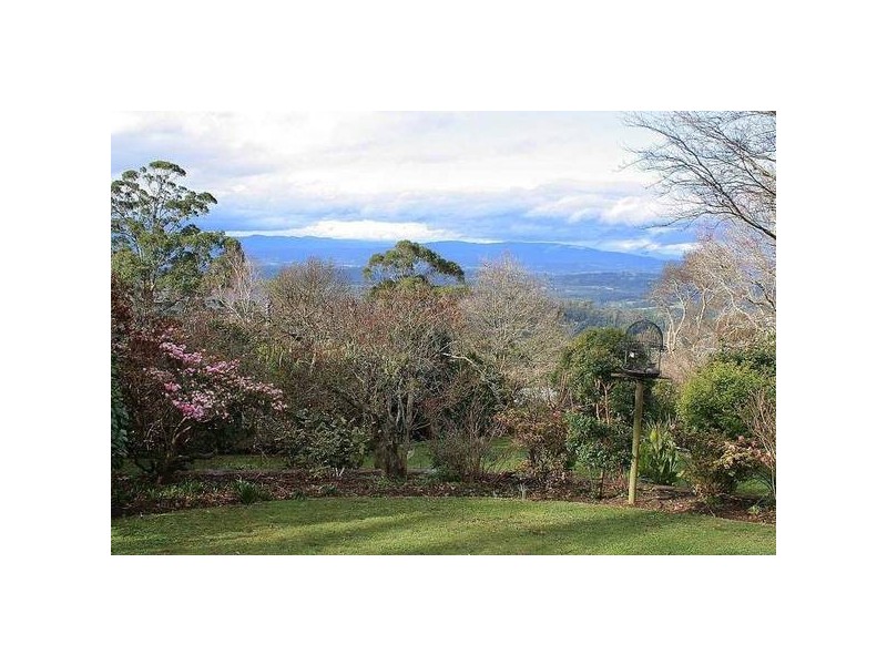 5 Locarno Avenue (Enter via Regnans Rd laneway), Kallista VIC 3791