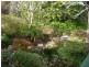 47 Lockwood Road, Belgrave Heights VIC 3160