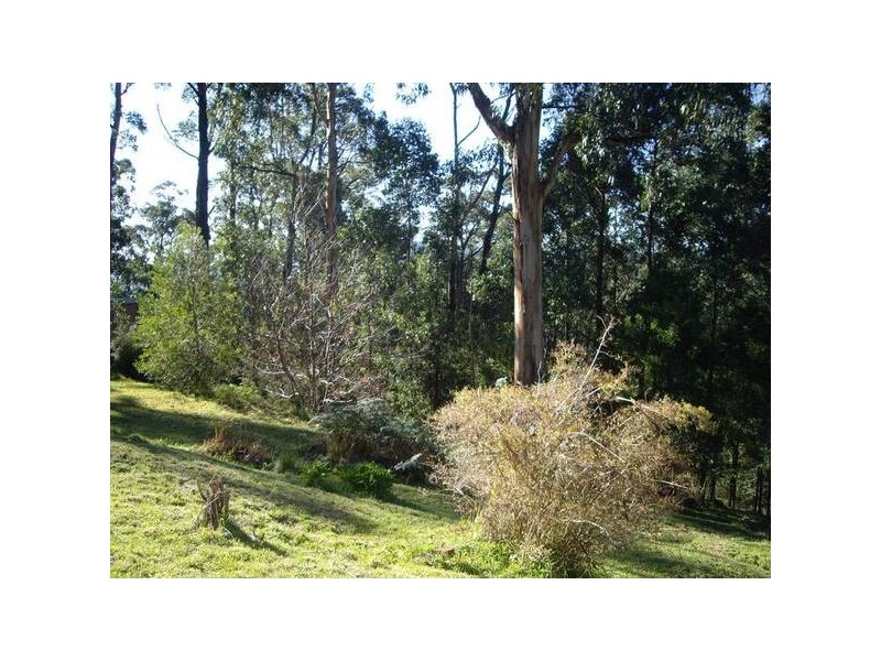 33 Seabreeze Avenue, Ferny Creek VIC 3786