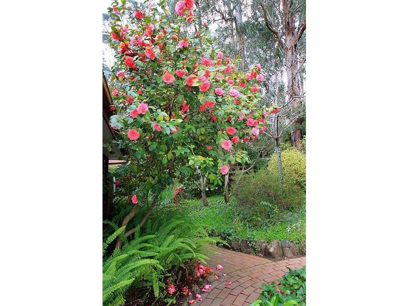 2 Liege Street, Selby VIC 3159