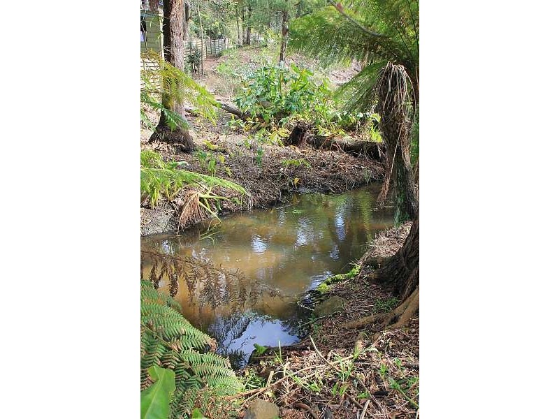 8 Cole Avenue, Belgrave VIC 3160