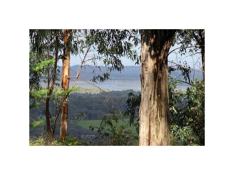 42 School Road, Menzies Creek VIC 3159