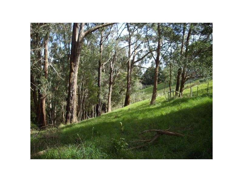 2 Warra Road, Upwey VIC 3158