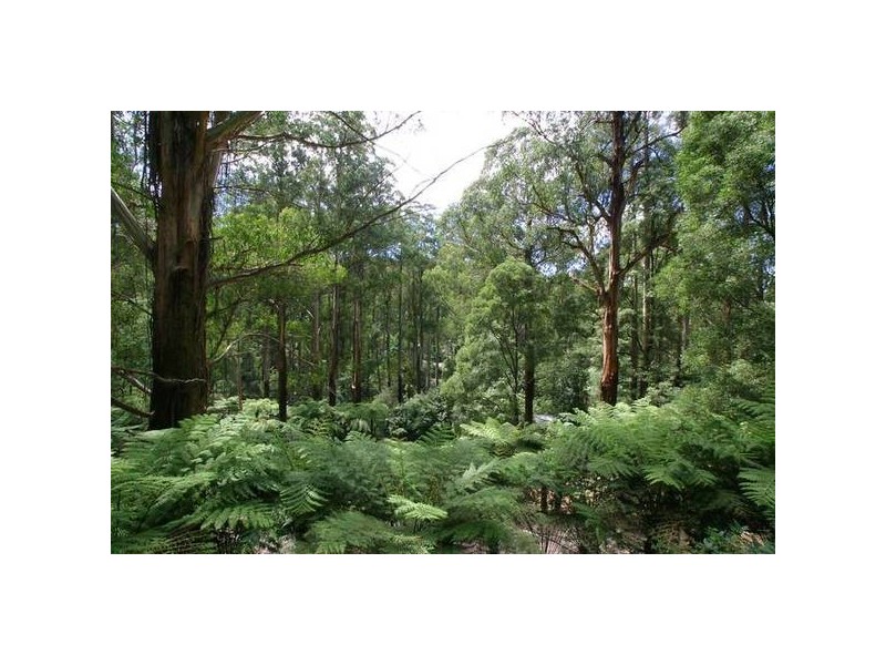 76 Sassafras Creek Road, Kallista VIC 3791