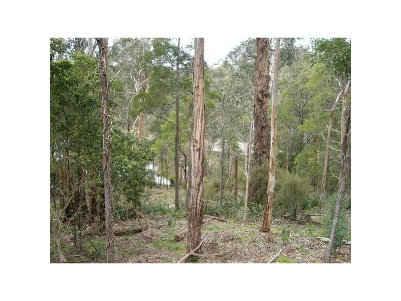 9 Old Reservoir Road, Belgrave VIC 3160