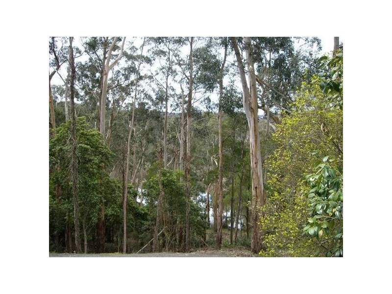 9 Old Reservoir Road, Belgrave VIC 3160