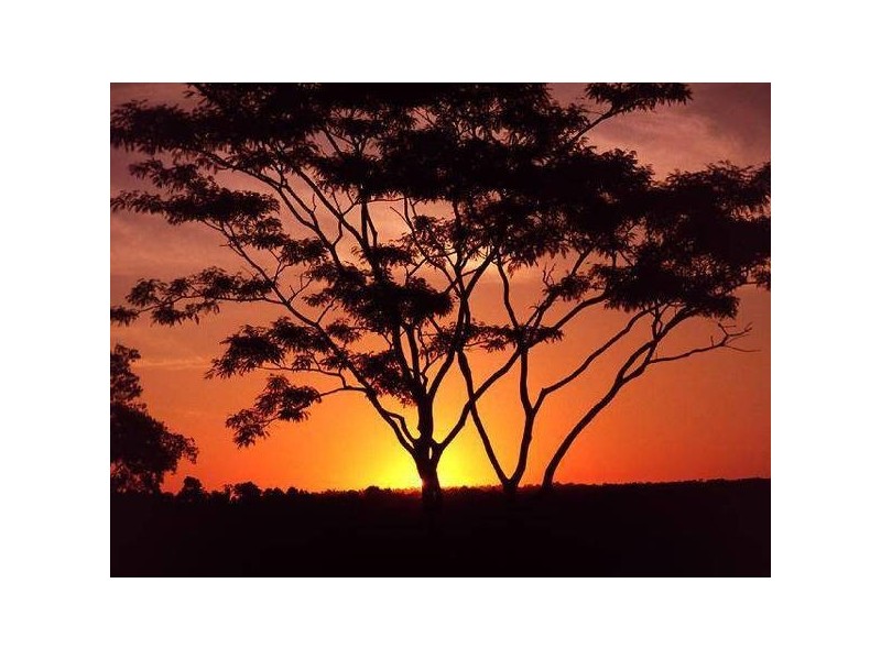 425 Sheep Station Creek Road, Yellingbo VIC 3139